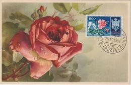 Saint Marin Carte Maximum Fleurs 1953 Roses 382 - Brieven En Documenten