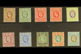 1907 - 8  Ed VII Set, Wmk MCA, SG 34/43, Fine To Very Fine Mint. (10 Stamps) For More Images, Please Visit Http://www.sa - Vide