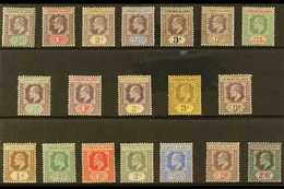 1902-11 KEVII MINT COLLECTION  Presented On A Stock Card & Includes 1902 CA Wmk Set To 1s, 1905-08 MCA Wmk Range With Mo - Leeward  Islands