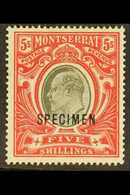 1903  5s Black And Scarlet, Wmk Crown CC, Opt'd "SPECIMEN", SG 23s, Very Fine Mint. For More Images, Please Visit Http:/ - Montserrat