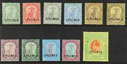 1908-14  Complete Set Overprinted "SPECIMEN", SG 35/47s, Plus 3d White Back, Fine Mint. (11 Stamps) For More Images, Ple - Montserrat