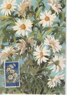 Saint Marin Carte Maximum Fleurs 1957 Marguerites 427 - Cartas & Documentos