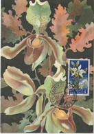 Saint Marin Carte Maximum Fleurs 1957 Orchidées 430 - Storia Postale