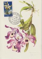 Saint Marin Carte Maximum Fleurs 1957 Orchidées 430 - Brieven En Documenten