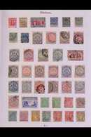 1892-1954 MINT & USED COLLECTION / ACCUMULATION  Interesting Ranges, Haphazardly Arranged On Album Pages, We See 1892-3  - Other & Unclassified