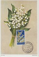 Saint Marin Carte Maximum Fleurs 1957 Muguet 431 - Storia Postale
