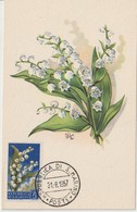 Saint Marin Carte Maximum Fleurs 1957 Muguet 431 - Covers & Documents