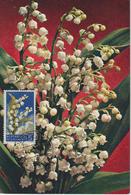 Saint Marin Carte Maximum Fleurs 1957 Muguet 431 - Cartas & Documentos