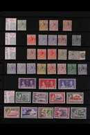 1913-88 FINE MINT / NEVER HINGED MINT COLLECTION  ALL DIFFERENT, Presented On Stock Pages, We See Useful Range Of KGV De - Isole Salomone (...-1978)