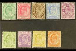 CAPE OF GOOD HOPE  1902-04 Complete Set, SG 70/78, Very Fine Mint. (9 Stamps) For More Images, Please Visit Http://www.s - Unclassified