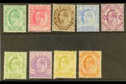 CAPE OF GOOD HOPE  1902-04 Complete Set, SG 70/78, Very Fine Mint. (9 Stamps) For More Images, Please Visit Http://www.s - Non Classificati