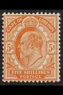 CAPE OF GOOD HOPE  1902 5s Brown Orange, Ed VII, SG 78, Very Fine And Fresh Mint. For More Images, Please Visit Http://w - Unclassified