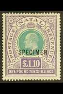 NATAL  1902 £1.10 Green And Violet Opt'd "SPECIMEN", SG 143s, Very Fine Mint. For More Images, Please Visit Http://www.s - Ohne Zuordnung