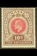 NATAL  1902 10s Deep Rose & Chocolate, Wmk Crown CC, SG 141, Very Fine Mint. For More Images, Please Visit Http://www.sa - Non Classés