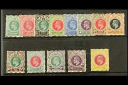 NATAL  1902-03 Complete Set SG 127/139, Fine Mint. (13 Stamps) For More Images, Please Visit Http://www.sandafayre.com/i - Ohne Zuordnung