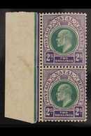 NATAL  1904 2s Dull And Bright Violet, Ed VII, SG 156, Very Fine Never Hinged Mint Vertical Marginal Pair. For More Imag - Unclassified