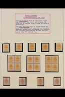 ORANGE FREE STATE  1897 MINT COLLECTION In Hingeless Mounts On Pages, Includes 1897 ½d (x41, Incl Three Blocks Of 4 And  - Zonder Classificatie