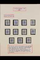 ORANGE FREE STATE  1896 ½d On 3d Ultramarine Surcharges (SG 69/75) Mint Study Collection In Hingeless Mounts On Pages, I - Non Classés
