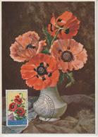 Saint Marin Carte Maximum Fleurs 1957 Coquelicots 432 - Covers & Documents