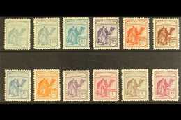 SAHARA  1924 Tuareg And Camel A.000,000 SPECIMEN Set Complete, SG 1/12 (Edifil 1N/12N, Very Fine Mint (12 Stamps) For Mo - Autres & Non Classés