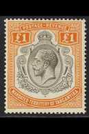 1927  £1 Brown Orange And Black, Geo V, SG 107, Fine Mint. For More Images, Please Visit Http://www.sandafayre.com/itemd - Tanganyika (...-1932)
