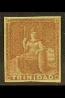1851-5  (1d) Brownish Red On Blued Paper, Imperforate, SG 7, Fine Mint, Four Even Margins. For More Images, Please Visit - Trinidad En Tobago (...-1961)