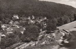 D-75385 Bad Teinach-Zavelstein - Haus Panorama - Minigolf - Nice Stamp (Cept) - Bad Teinach