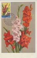 Saint Marin Carte Maximum Fleurs 1957 Glaieuls 434 - Brieven En Documenten