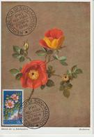 Saint Marin Carte Maximum Fleurs 1957 Eglantines 435 - Lettres & Documents