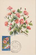 Saint Marin Carte Maximum Fleurs 1957 Eglantines 435 - Storia Postale