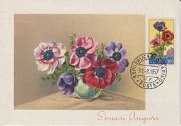 Saint Marin Carte Maximum Fleurs 1957 Anémones 436 - Cartas & Documentos