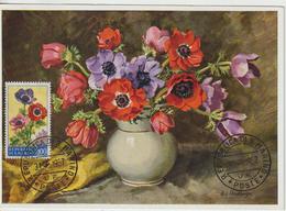 Saint Marin Carte Maximum Fleurs 1957 Anémones 436 - Storia Postale