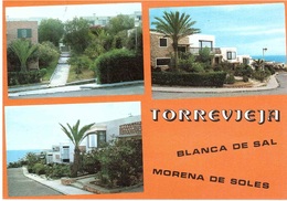 TORREVIEJA - Alicante