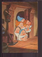 Disney " Les 7 Nains " - Disneyland