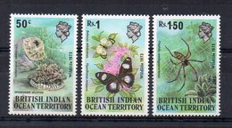 TERRITOIRE BRITANNIQUE DE L'OCEAN INDIEN - BRITISH INDIAN OCEAN TERRITORY - 1973 - FAUNE - FAUNA - - Territoire Britannique De L'Océan Indien