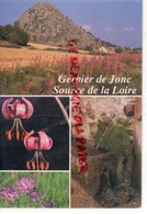 07- MONT GERBIER DE JONC- SOURCE DE LA LOIRE-LYS MARTAGON-RAIPONCE- ARDECHE - Otros & Sin Clasificación