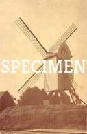 Molen - Oostvleteren Repro - Vleteren