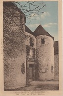 20 / 1 / 443. -  FRESNAY  SUR  SARTHE  ( 72 ).  LES  TOURS  DU. VIEUX  CHÂTEAU - La Fresnaye Sur Chédouet