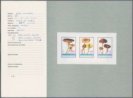 Äquatorialguinea: 1990 Circa. Thirteen Original Sketches And Proofs From The Spanish Royal Mint, Som - Equatoriaal Guinea