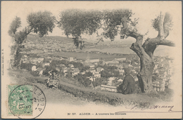 Algerien: 1900/1960, Box With About 800 Historical Postcards With A Major Part Of Cards Before 1945. - Brieven En Documenten