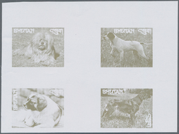 Bhutan: 1964/1988 (ca.), MNH Assortment Of Specialities Like Imperforate Stamps And Mainly Progressi - Bhoutan