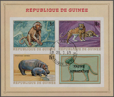 Guinea: 1966/1979 (ca.), Enormous Stock Of Used Perforated And Imperforated Stamps With Hundreds To - República De Guinea (1958-...)