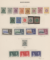 Hongkong: 1862/1962, Mint And Used Collection On Album Pages, From A Nice Section QV Heads, KGV Defi - Other & Unclassified