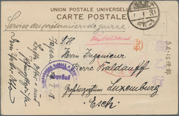 Lagerpost Tsingtau: Narashino, To Luxemburg: 1918/19, Two Camp Stationery Envelopes Each Type I Used - Deutsche Post In China