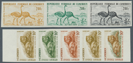Kamerun: 1960/1965 (ca.), Bestand Von Ca. 470 UNGEZÄHNTEN PROBEDRUCKEN In Teils Unterschiedl. Farben - Camerun (1960-...)
