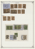 Mexiko: 1861, Specialised Collection Of Apprx. 480 Stamps On Album Pages Incl. Wealth Of Districts A - Mexico