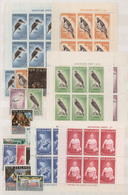 Neuseeland: 1953/1985, Mint And Used Collection/accumulation On Stockpages, Well Sorted Throughout, - Storia Postale