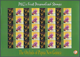 Papua Neuguinea: 2007, So Called PERSONALIZED STAMPS Over 5,000 Sheets Mint Never Hinged, Attractive - Papua Nuova Guinea