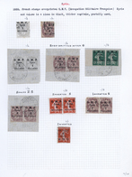 Syrien: 1920/1924, Specialised Collection Of Apprx. 220 Overprint Stamps Arranged On Written Up Albu - Syrië