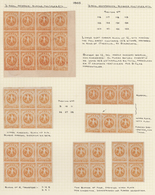 Venezuela: 1863/1865, Specialised Collection Of The Eagle Issue (Michel Nos. 7/11, Scott Nos. 10/14) - Venezuela